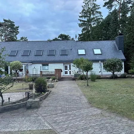 Strandnaher Urlaub Mit Hund Am Steinhuder