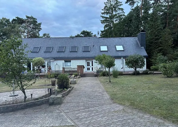Strandnaher Urlaub Mit Hund Am Steinhuder