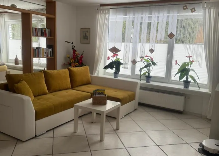 Strandnaher Urlaub Mit Hund Am Steinhuder * 鲁本贝尔的诺伊施塔特